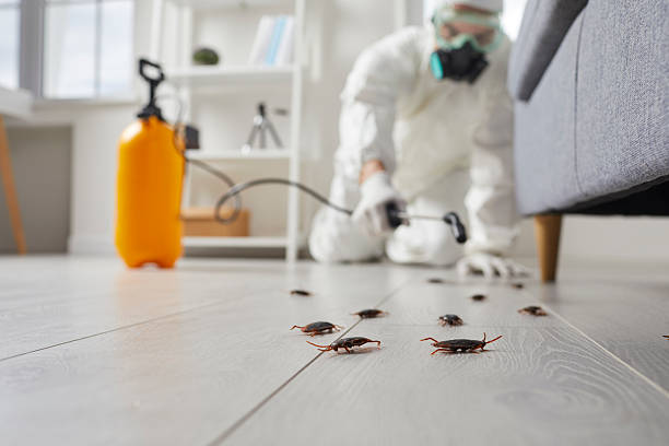 Commercial Kitchen Cockroach Control in Rehobeth